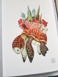 Image 2 of The Berwick Turtle (2025)