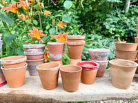 Image 3 of Petits pots en terre cuite 