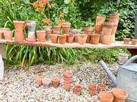 Image 9 of Petits pots en terre cuite 