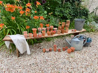 Image 10 of Petits pots en terre cuite 