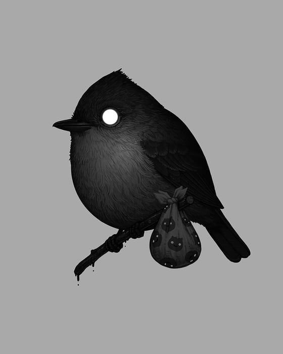Image of Western Wood Pewee (Void)