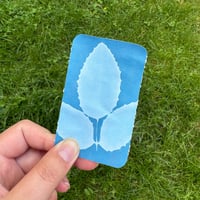 Image 4 of Cyanotype Sun-Printing Portable Art Kit