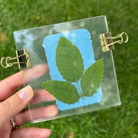 Image 5 of Cyanotype Sun-Printing Portable Art Kit