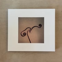 Susumu Yokota – Image 1983-1998 (CD)