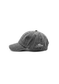Image 2 of DAD CAP
