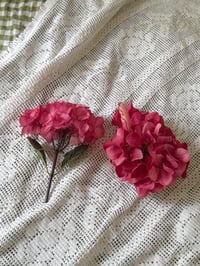 Image 2 of xl raspberry hydrangea claw 