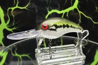 Image 1 of SPEEDBAITS Custom Airbrushed Crankbait 1343