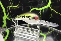 Image 2 of SPEEDBAITS Custom Airbrushed Crankbait 1343