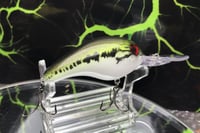 Image 4 of SPEEDBAITS Custom Airbrushed Crankbait 1343