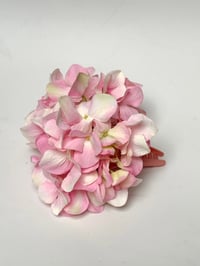 Image 1 of xl bubblegum hydrangea claw 