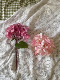 Image 2 of xl bubblegum hydrangea claw 