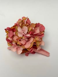 Image 1 of  xl dusty pink hydrangea claw 