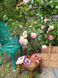 Image 3 of  xl dusty pink hydrangea claw 