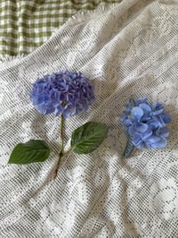 Image 5 of XL periwinkle hydrangea claw 