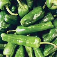 Spanish Padron Peppers