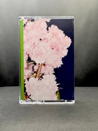 Image 3 of BALF - EFFLORESCENCE (V58)