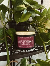 Velvet Tempest Candle