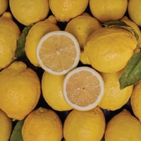 Spanish Verna Organic Lemons