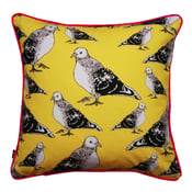 Image of pigeon cushion