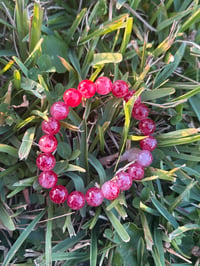 Crimson Fire Pulse