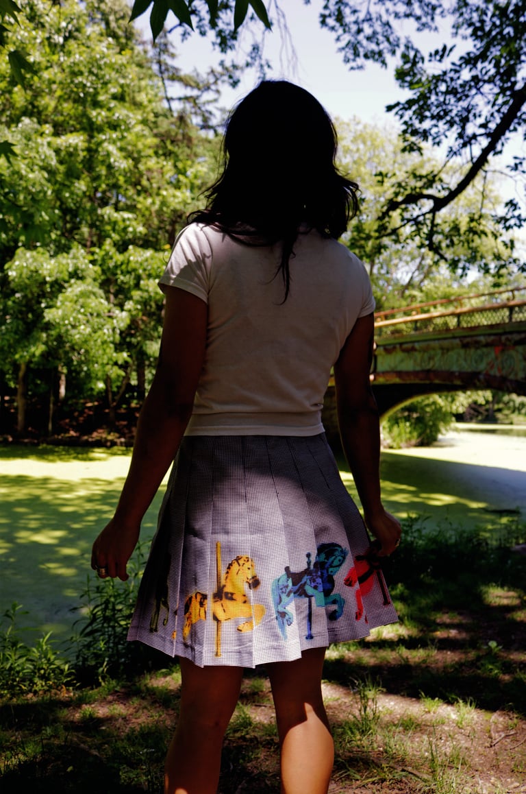 Carousel Skirt Image 3