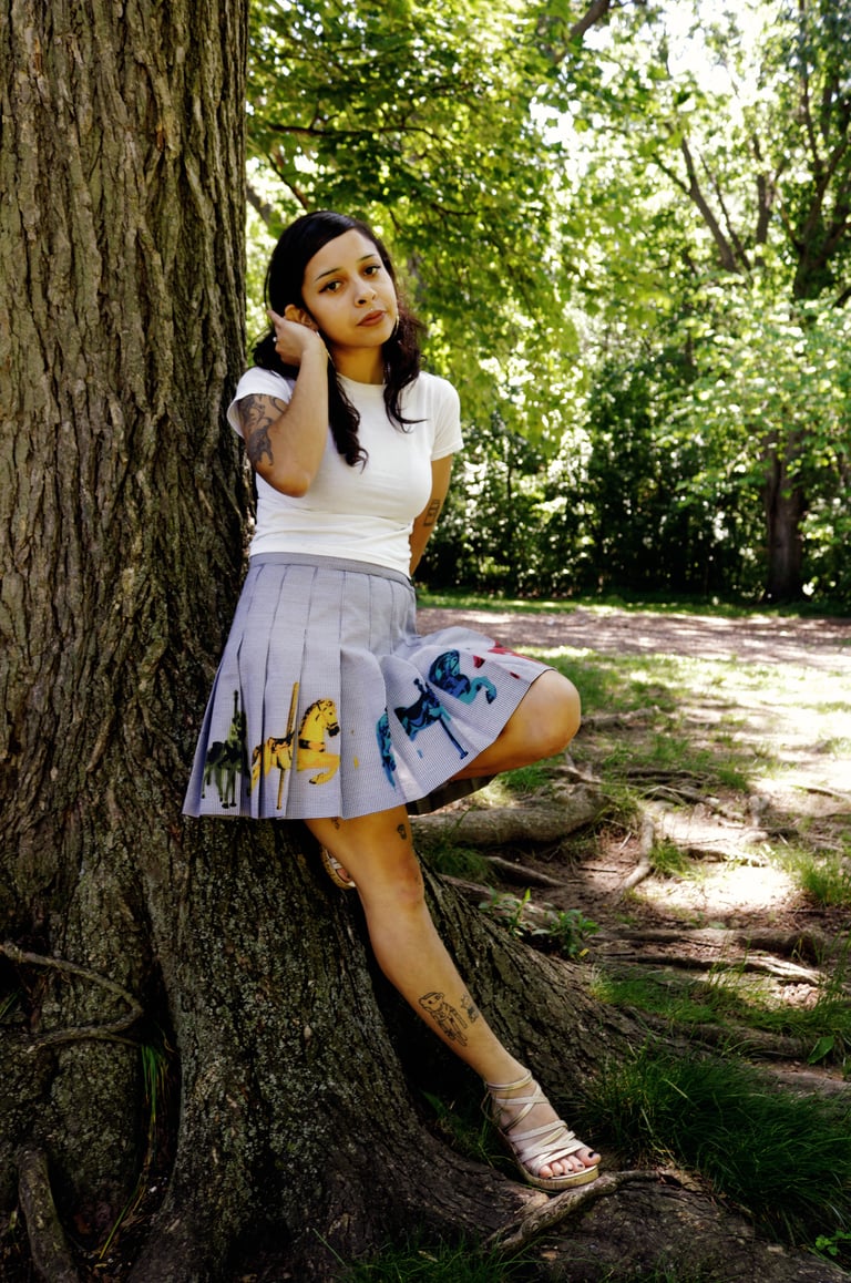 Carousel Skirt Image 2