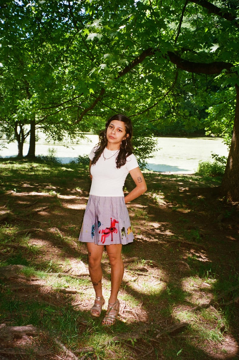 Carousel Skirt Image 4