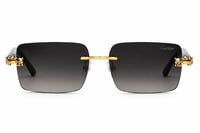 Image 2 of Mens Carti Sunglasses