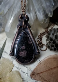 Image 1 of Cat Bone & Arfvedsonite Amulet