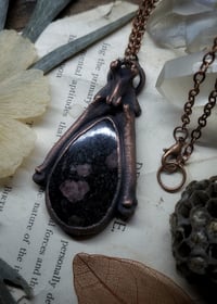 Image 2 of Cat Bone & Arfvedsonite Amulet