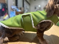 Asparagus Raincoat