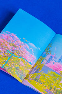 Image 3 of The Waiting Blossom
