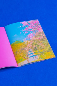 Image 2 of The Waiting Blossom