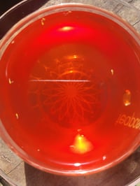 Image 3 of Gorgeous Teas REFRESH 