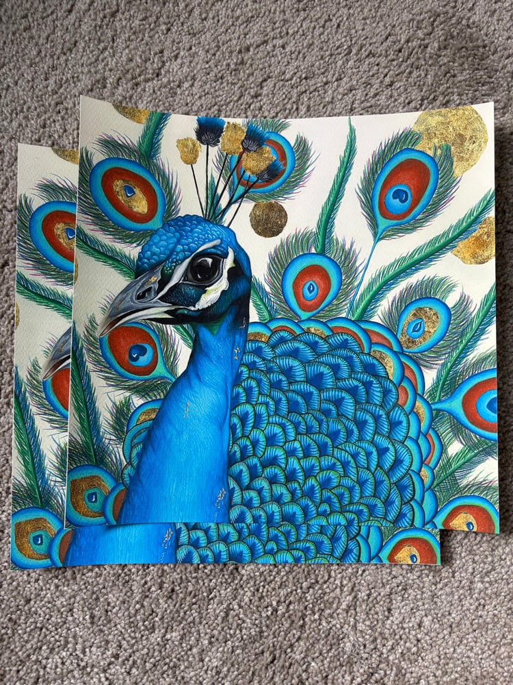 Image of Peacock Print