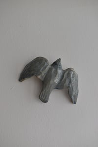 Image 1 of Blue Birds