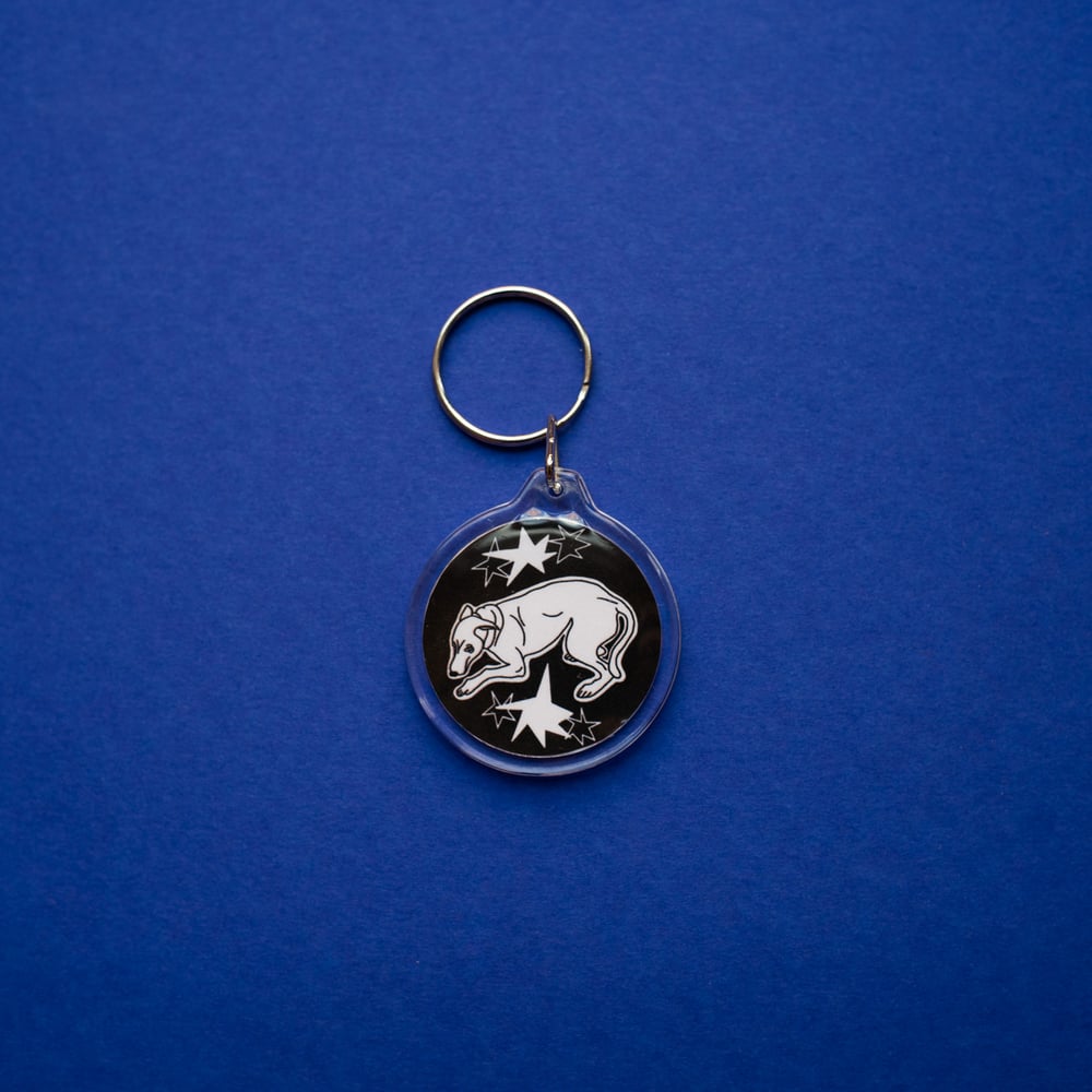Image of scared dog key chain
