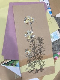 Image 4 of Stitching the lines of Flora and fauna