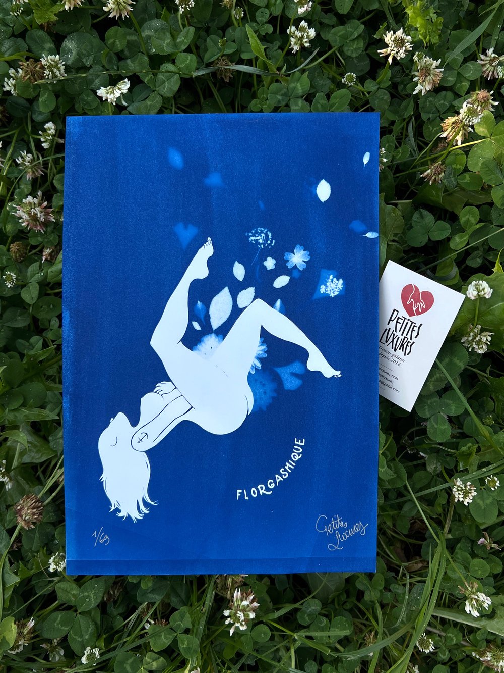Image of  "Florgasmique" handmade cyanotype with real plants and flowers