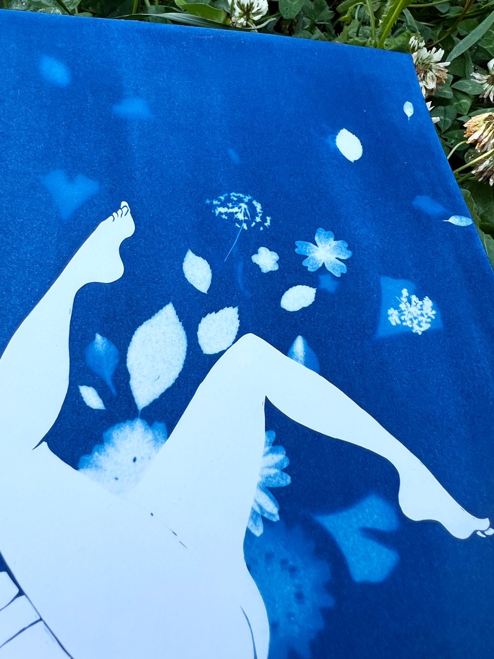 Image of  "Florgasmique" handmade cyanotype with real plants and flowers