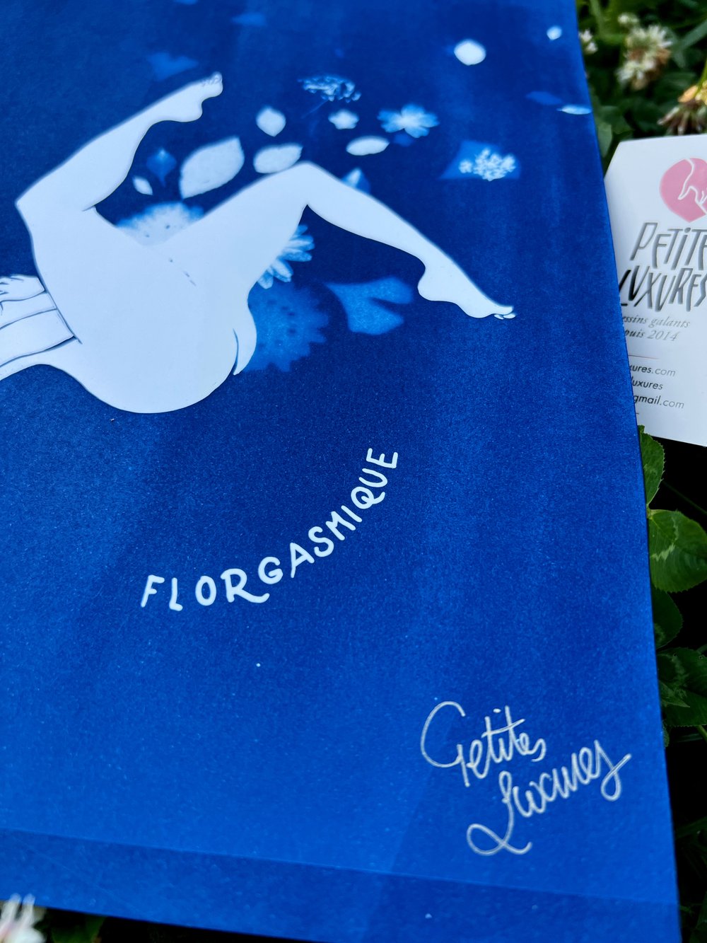 Image of  "Florgasmique" handmade cyanotype with real plants and flowers