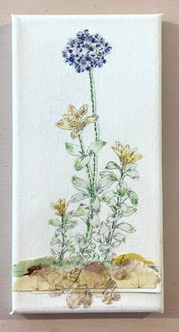 Image 1 of Stitching the lines of Flora and fauna