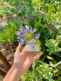 Golden Tide Tallow Balm