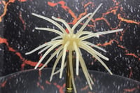 Image 1 of SPEEDBALL Cokie Style Creature Urchin Bait SS