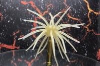 Image 2 of SPEEDBALL Cokie Style Creature Urchin Bait SS