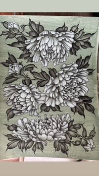 Green Peony’s  