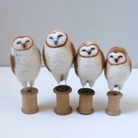 Image 3 of Workshop Registration - Barn Owl in Victoria