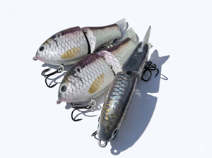 Image of Lil’ Ol’ Ann (Huron Threadfin)