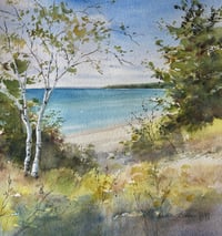 Image 2 of Sandy Shoreline on Rock Island