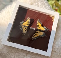 Image 5 of Swallowtails No. I 
